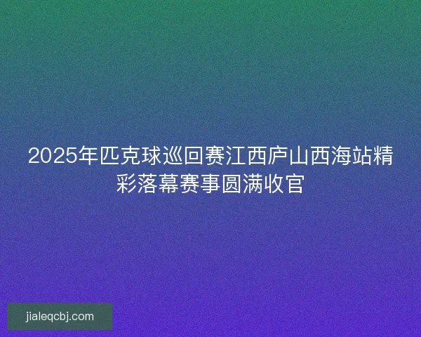 2025年匹克球巡回赛江西庐山西海站精彩落幕赛事圆满收官