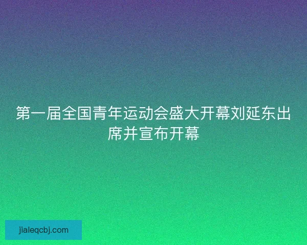 第一届全国青年运动会盛大开幕刘延东出席并宣布开幕